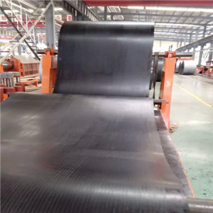 Flat type nylon conveyor belt